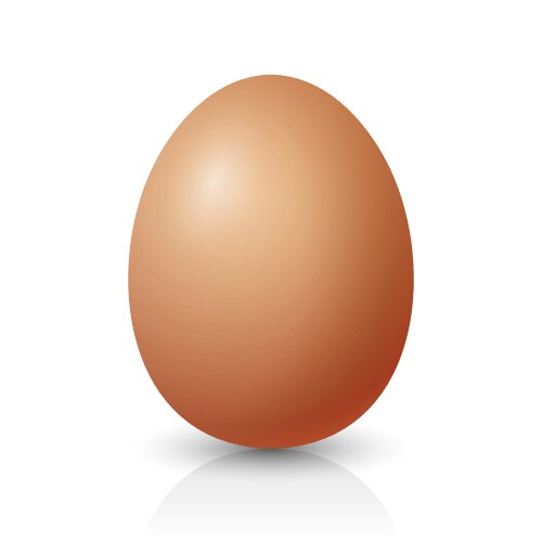 Realistic brown chicken egg icon closeup vector image