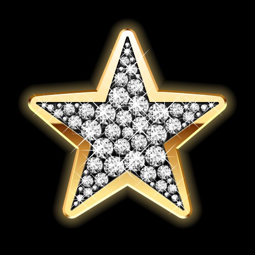 Star shape in diamonds vector image