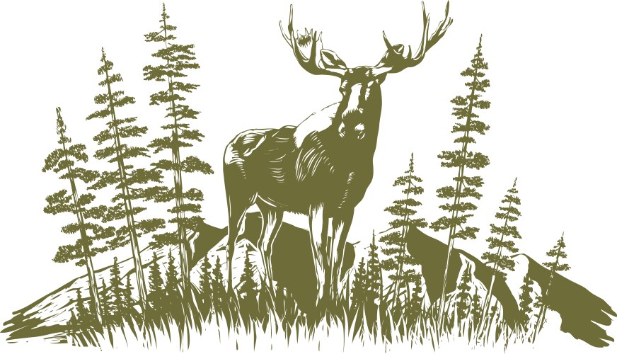 woodcut moose design vector image