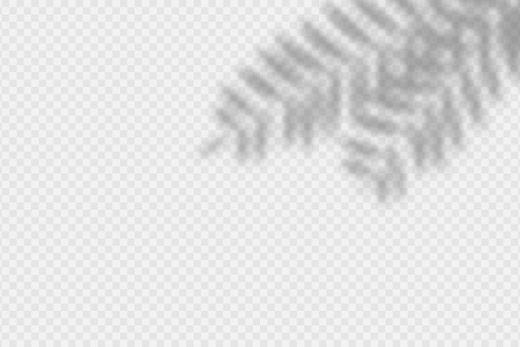 Shadow overlay palm branch transparent vector image