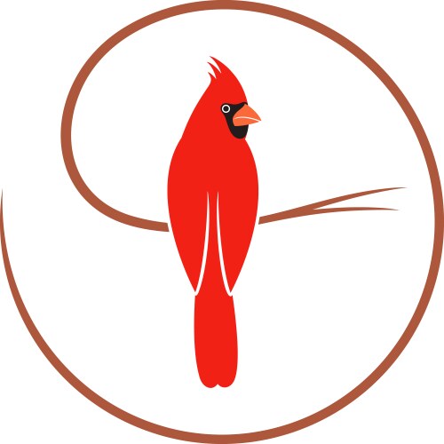 Cardinal bird vector image