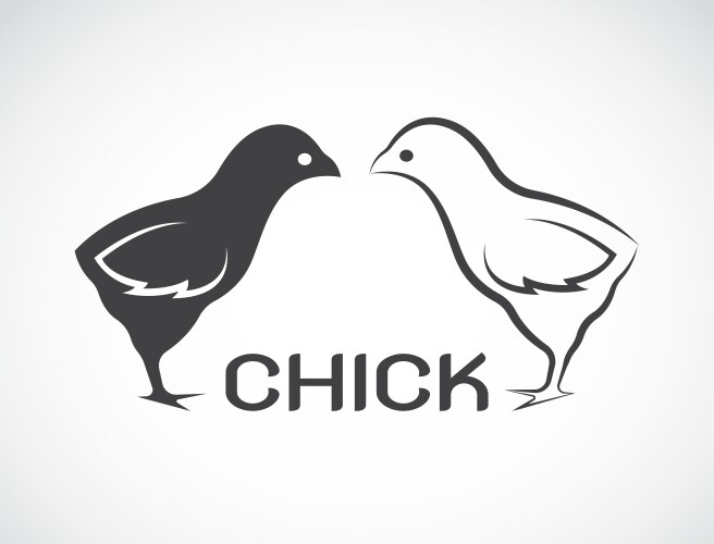 chick vector image