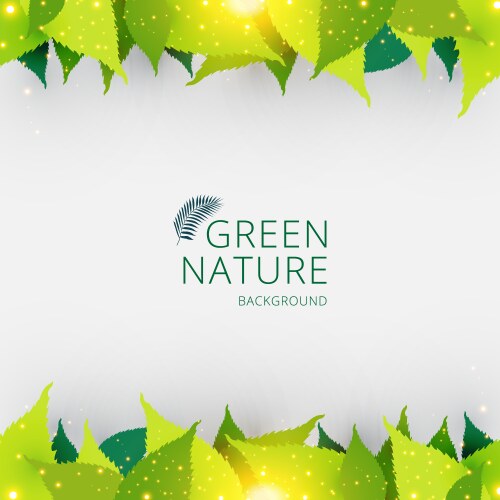 Template header or footer green leaves nature vector image