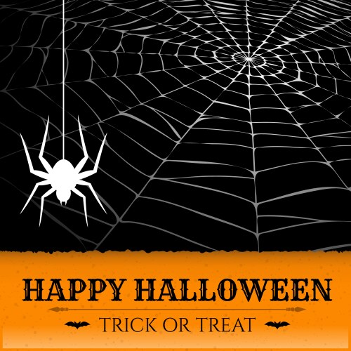 Spider on web vector image