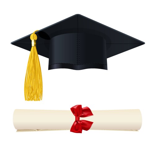 Graduate cap with a diploma in the scroll vector image