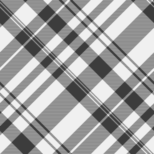 Sexy seamless check nyc tartan plaid pattern vector image