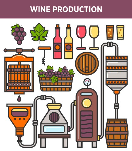 Wine production factory or winery winemaking vector image