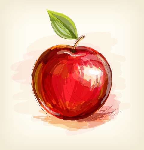 Sketch of red apple in watercolor technique vector image