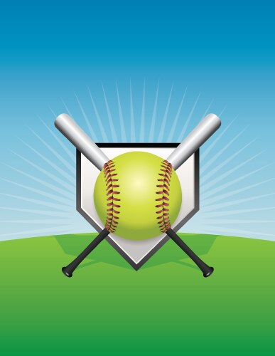 softball and bats vector image