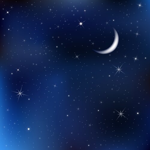 Night sky scene vector image