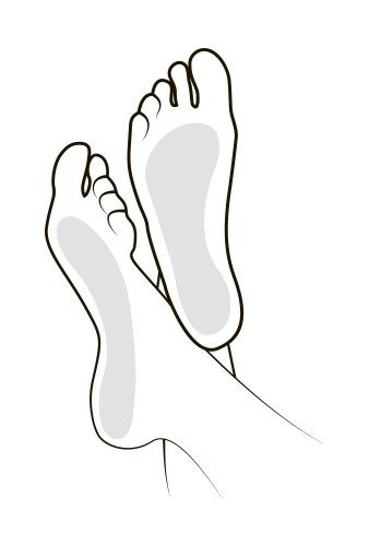 Foot vector image