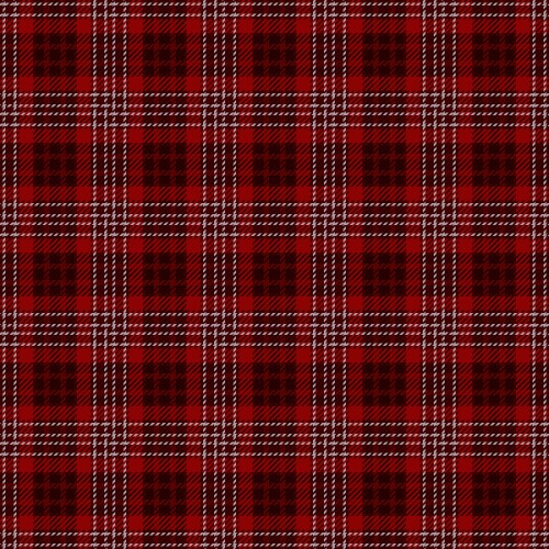 Purity plaid fabric textile drapery tartan vector image