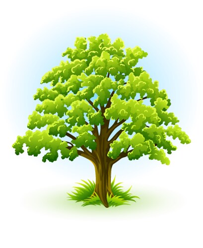 Oak tree vector image