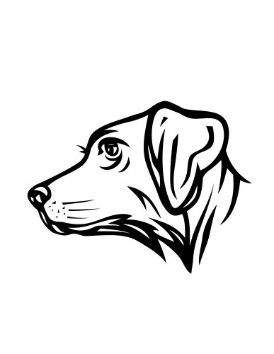 Dog face drawing vector image