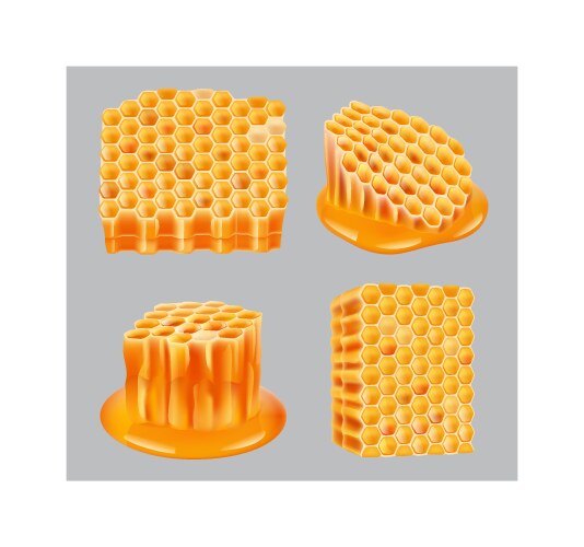 Honeycomb healthy wax portion yellow close up vector image