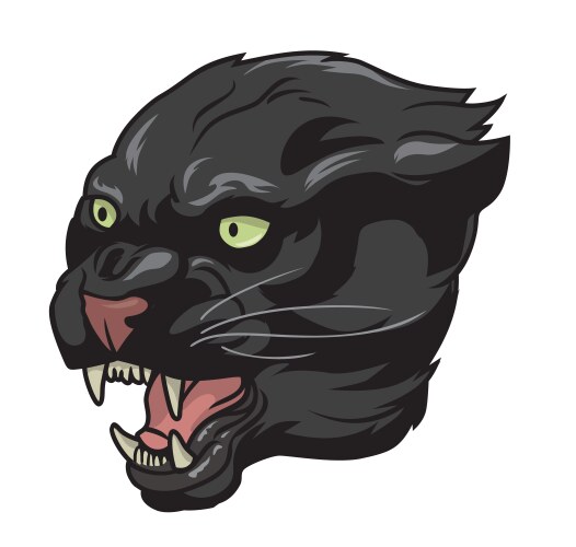 Panthers head vector image