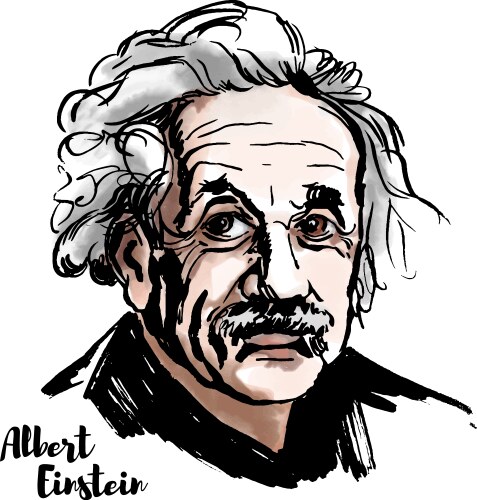 Albert einstein vector image