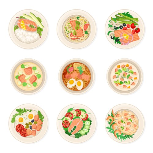 Dishes with salmon set top view vector image