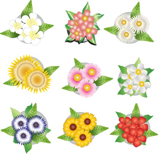 Plants and flower top view for interior vector image