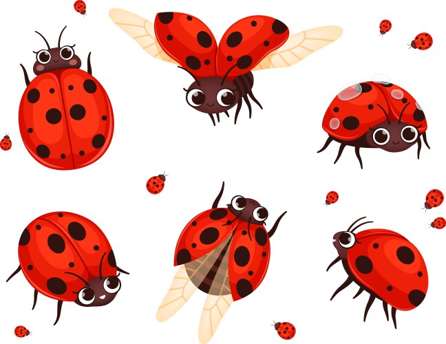 Ladybug flying closeup insects in action poses vector image