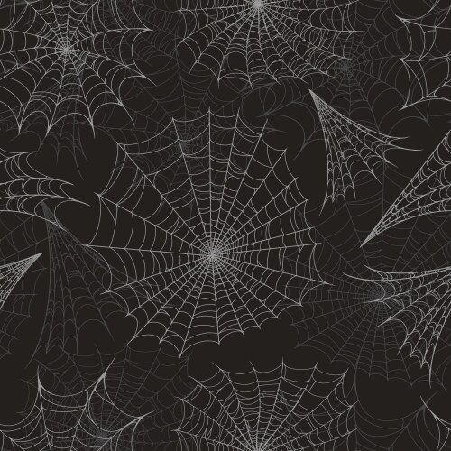 Halloween spider web seamless pattern vector image