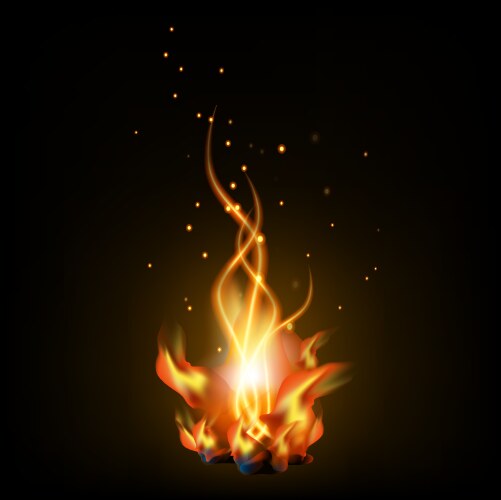 Bonfire night vector image