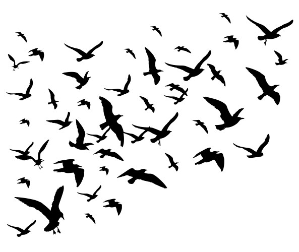 Flying birds flock isolated vector image