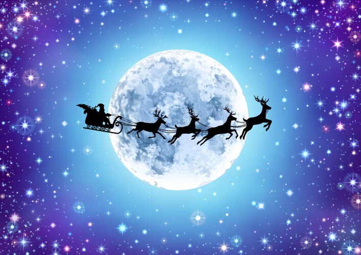 Starry sky with moon and santa vector image