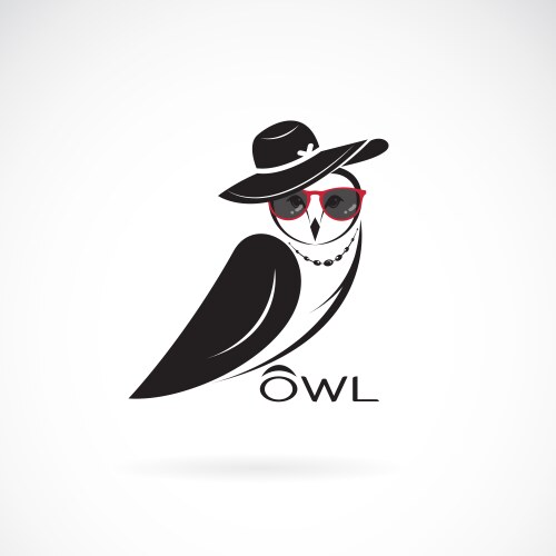 owl fashion design on white background birds vector image