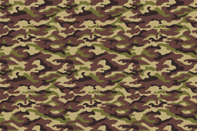 army camouflage texture green brown colors vector image