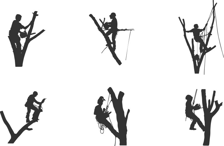 Tree surgeon svg working silhouette vector image