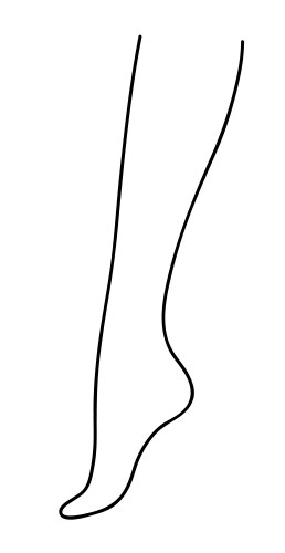 Beautiful female leg vector image