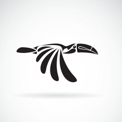 hornbill design on white background wild animals vector image