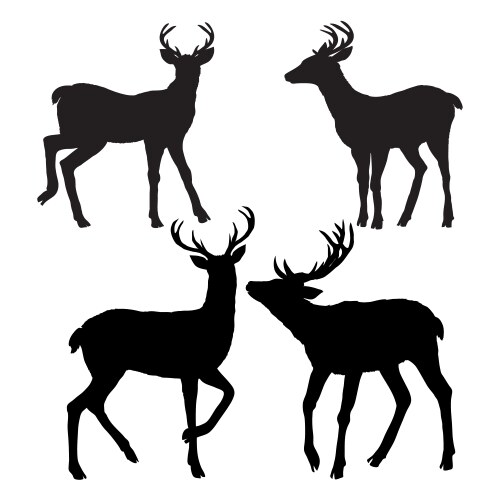 Deer silhouette vector image