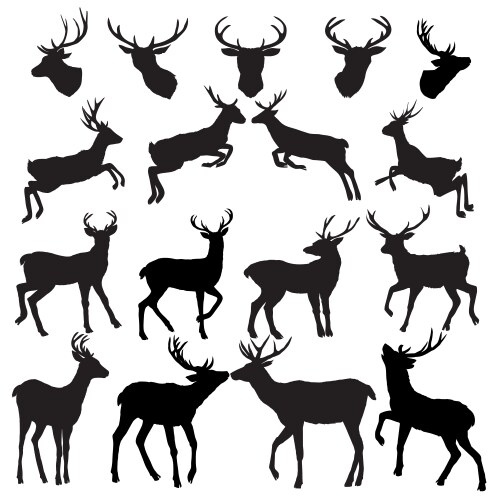 Deer silhouette vector image