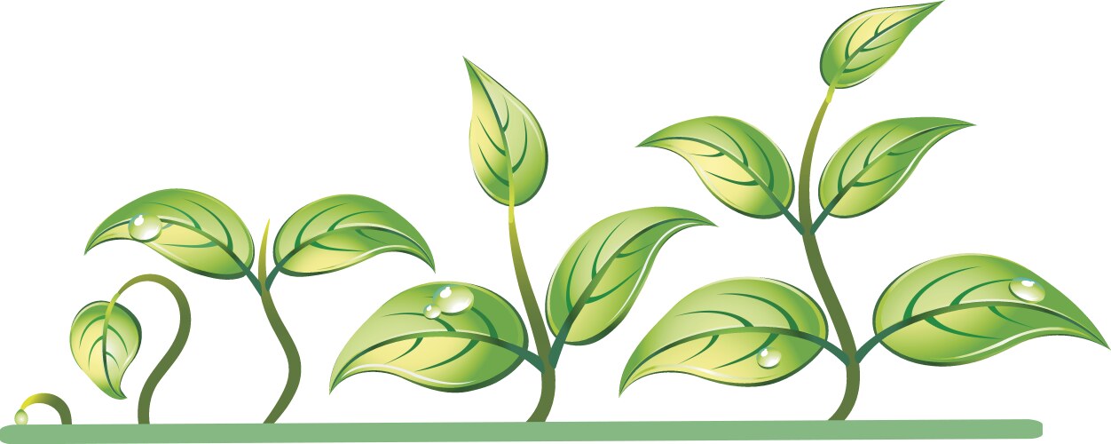 Progression of seedling growth vector image