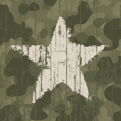 Military camouflage background with star vector image