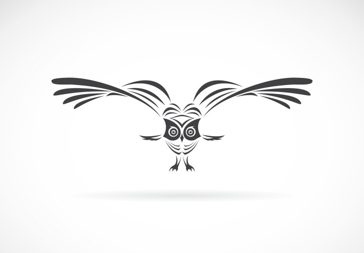 an owl design on a white background wild animals vector image