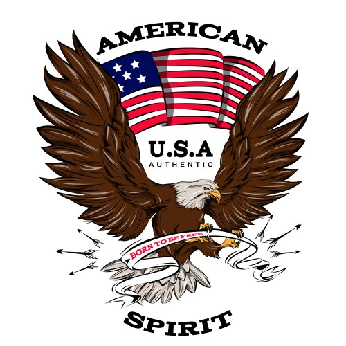 Spirit of usa emblem vector image