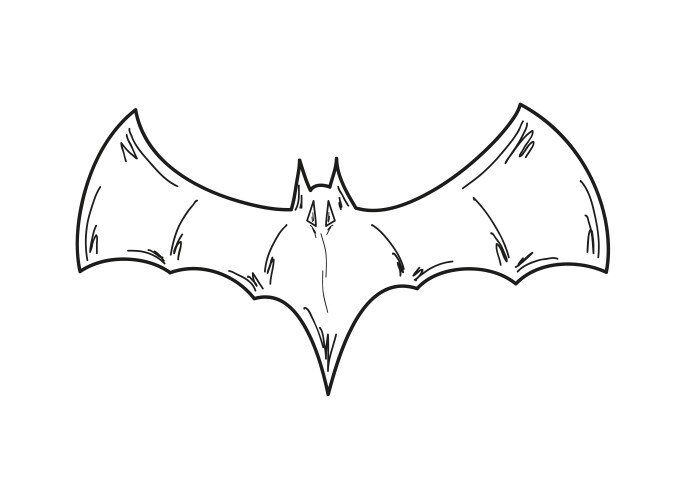 Sketch of the bat vector image