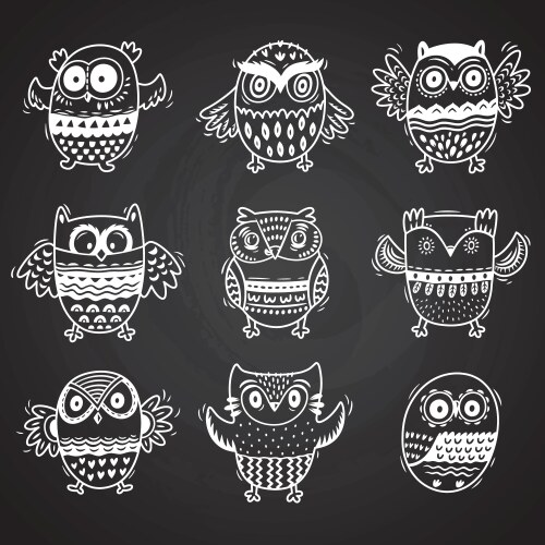 owls drawing with chalk on chalkboard background vector image