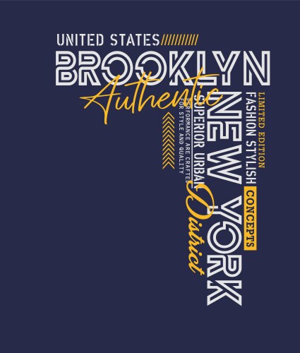 Typography brooklyn sport vector image