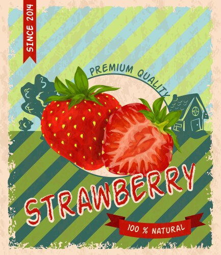 strawberry retro poster vector image