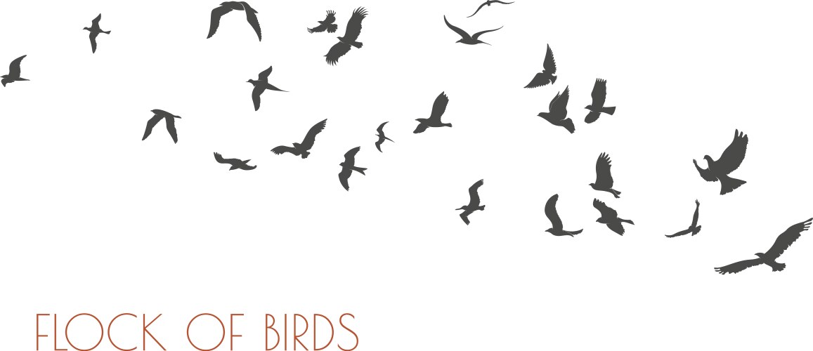 Figures flock flying birds on white vector image