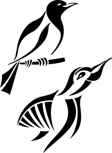 Bird symbols vector image