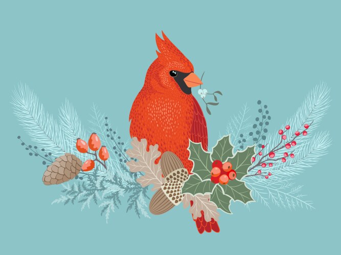 Cardinal on christmas garland vector image