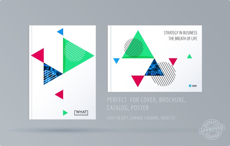 Brochure design triangular template colourful vector image