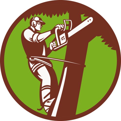 Arborist tree surgeon vector image