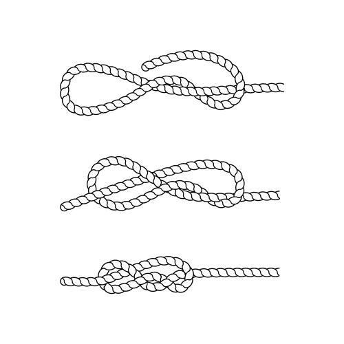 Knot vector image