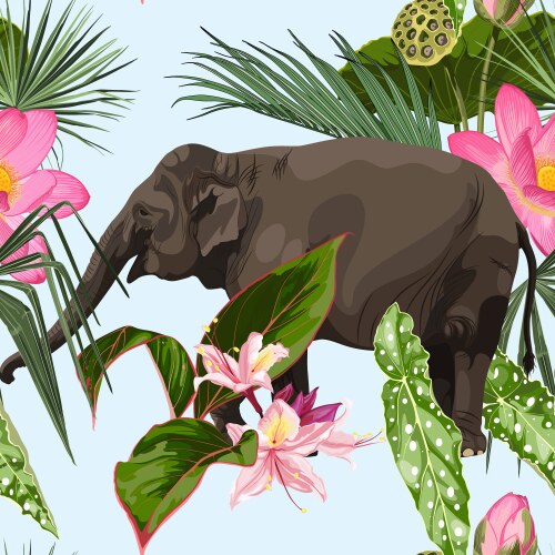 tropical wild elephant animal seamless pattern vector image